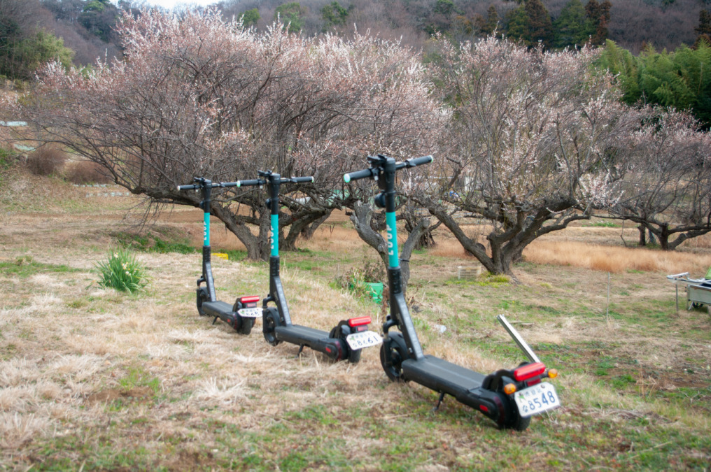 キックボードで里山巡り！吾妻山のふもとで焚火と軽食を楽しむ特別体験！