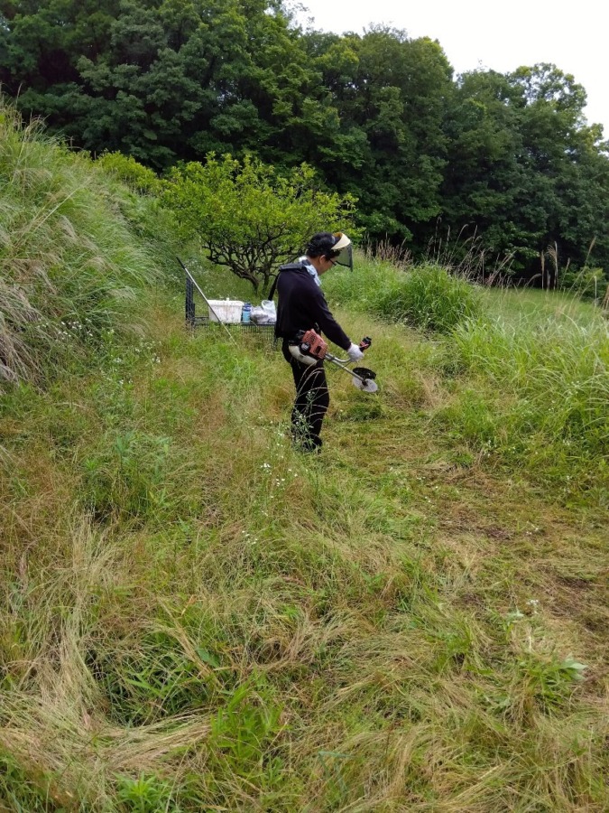 習慣づけに里山を利用する