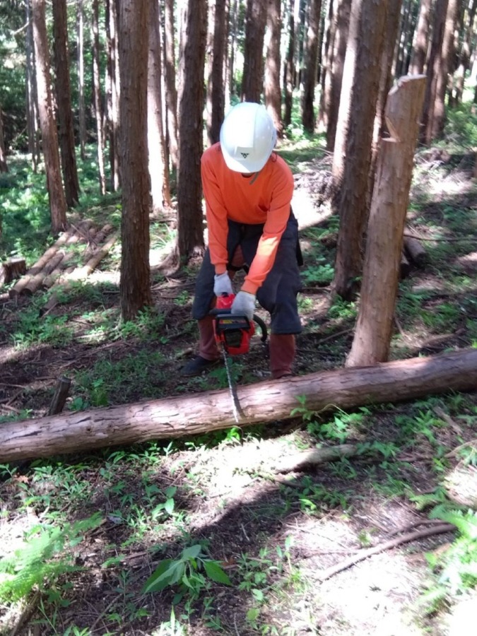 秦野市の里山ボランティア養成研修に参加してきました