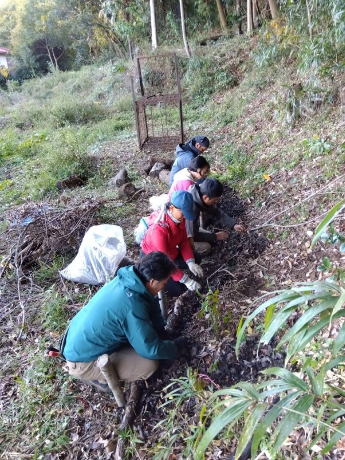 生物多様性に満ちた里山整備実践ワークショップを開催しました