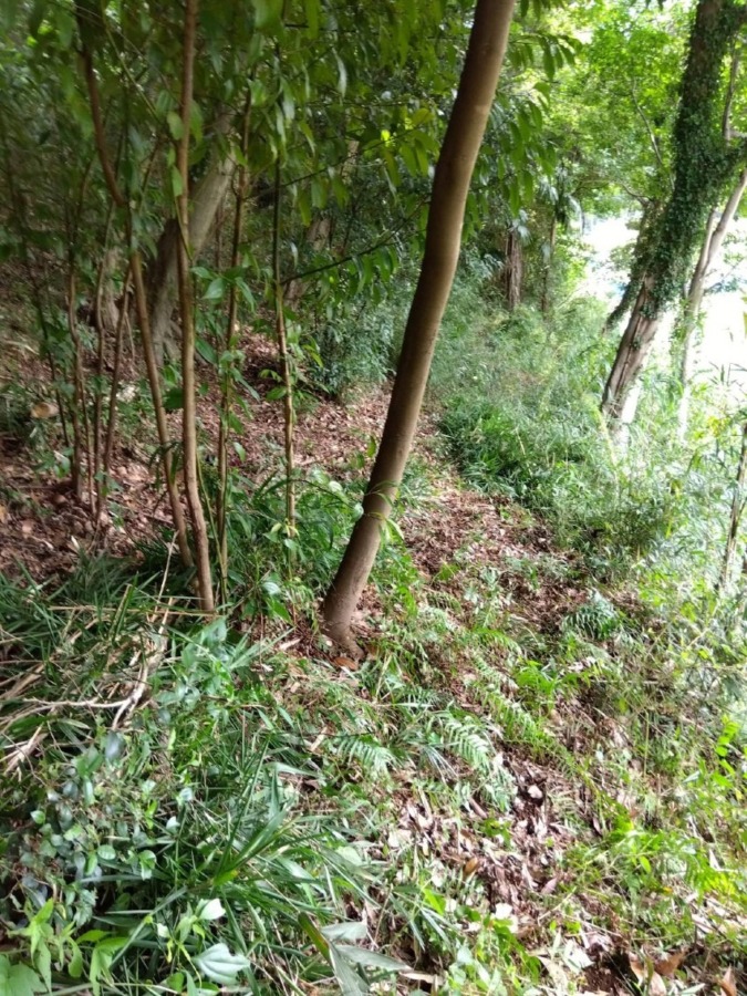 「自分のための」里山活動